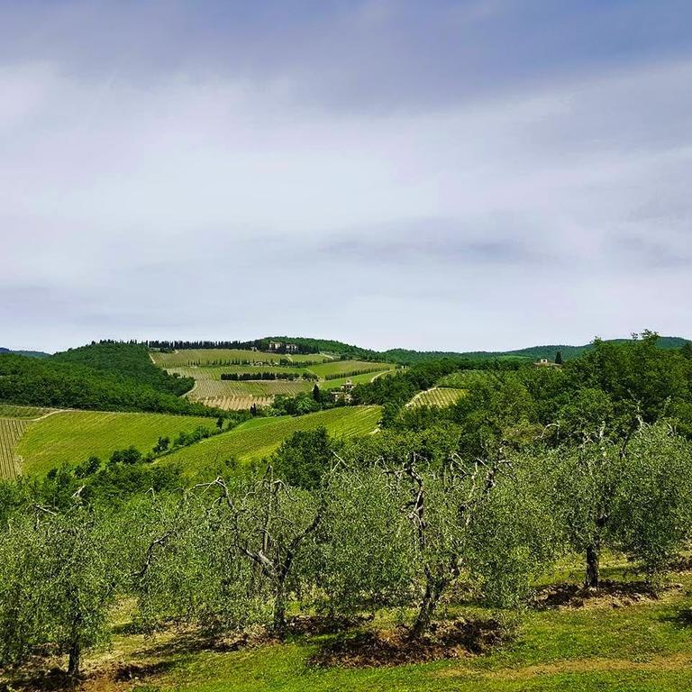 Holiday House Le Selvole Radda in Chianti Cameră foto